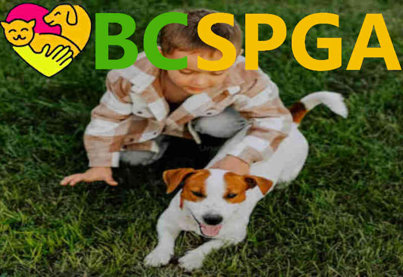 Society For British Columbia Public Guardians And Animals (BC SPGA) year in review 2025