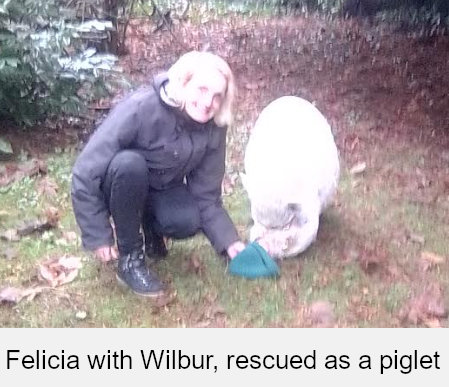 Animal advocate Marie-louise Felicia Allen with a piglet she rescued.