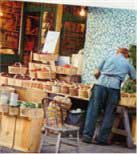 Checking produce. Chinatown, Vancouver.